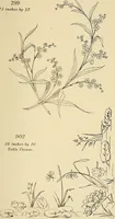 Picture 246 of 346 from Briggs & Co.'s patent transferring papers : patented for the United States of America (1880), leaf 152