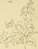 Picture 247 of 346 from Briggs & Co.'s patent transferring papers : patented for the United States of America (1880), leaf 153