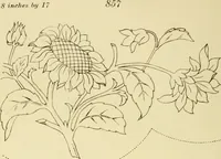 Picture 252 of 346 from Briggs & Co.'s patent transferring papers : patented for the United States of America (1880), leaf 157