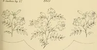 Picture 255 of 346 from Briggs & Co.'s patent transferring papers : patented for the United States of America (1880), leaf 158