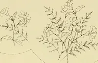 Picture 256 of 346 from Briggs & Co.'s patent transferring papers : patented for the United States of America (1880), leaf 159