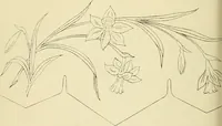 Picture 258 of 346 from Briggs & Co.'s patent transferring papers : patented for the United States of America (1880), leaf 159