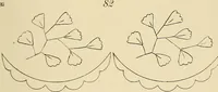 Picture 17 of 346 from Briggs & Co.'s patent transferring papers : patented for the United States of America (1880), leaf 16