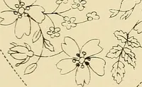 An illustration from Briggs & Co.'s patent transferring papers : patented for the United States of America (1880)