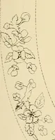 Picture 275 of 346 from Briggs & Co.'s patent transferring papers : patented for the United States of America (1880), leaf 168