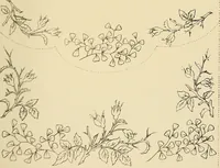 Picture 286 of 346 from Briggs & Co.'s patent transferring papers : patented for the United States of America (1880), leaf 174