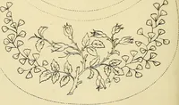 Picture 288 of 346 from Briggs & Co.'s patent transferring papers : patented for the United States of America (1880), leaf 175