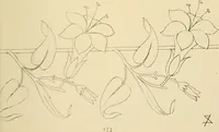 Picture 297 of 346 from Briggs & Co.'s patent transferring papers : patented for the United States of America (1880), leaf 182