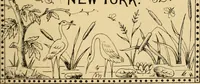 Picture 316 of 346 from Briggs & Co.'s patent transferring papers : patented for the United States of America (1880), leaf 194