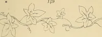Picture 27 of 346 from Briggs & Co.'s patent transferring papers : patented for the United States of America (1880), leaf 22