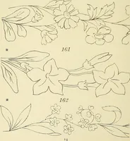 Picture 31 of 346 from Briggs & Co.'s patent transferring papers : patented for the United States of America (1880), leaf 23