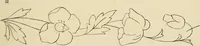 Picture 35 of 346 from Briggs & Co.'s patent transferring papers : patented for the United States of America (1880), leaf 24