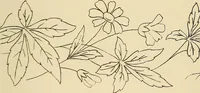 Picture 62 of 346 from Briggs & Co.'s patent transferring papers : patented for the United States of America (1880), leaf 36