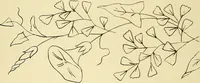 Picture 65 of 346 from Briggs & Co.'s patent transferring papers : patented for the United States of America (1880), leaf 37