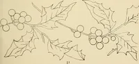 Picture 73 of 346 from Briggs & Co.'s patent transferring papers : patented for the United States of America (1880), leaf 40
