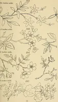 Picture 77 of 346 from Briggs & Co.'s patent transferring papers : patented for the United States of America (1880), leaf 42