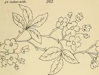 Picture 89 of 346 from Briggs & Co.'s patent transferring papers : patented for the United States of America (1880), leaf 50