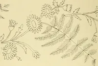 Picture 91 of 346 from Briggs & Co.'s patent transferring papers : patented for the United States of America (1880), leaf 51