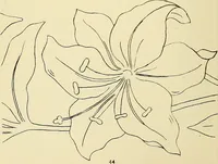 Picture 96 of 346 from Briggs & Co.'s patent transferring papers : patented for the United States of America (1880), leaf 53