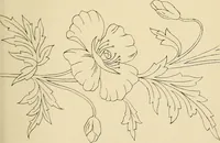 Picture 98 of 346 from Briggs & Co.'s patent transferring papers : patented for the United States of America (1880), leaf 54
