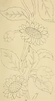 Picture 111 of 346 from Briggs & Co.'s patent transferring papers : patented for the United States of America (1880), leaf 62