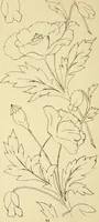 Picture 112 of 346 from Briggs & Co.'s patent transferring papers : patented for the United States of America (1880), leaf 63