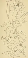 Picture 113 of 346 from Briggs & Co.'s patent transferring papers : patented for the United States of America (1880), leaf 64