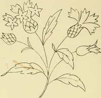 Picture 123 of 346 from Briggs & Co.'s patent transferring papers : patented for the United States of America (1880), leaf 73