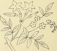Picture 124 of 346 from Briggs & Co.'s patent transferring papers : patented for the United States of America (1880), leaf 73