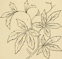 Picture 126 of 346 from Briggs & Co.'s patent transferring papers : patented for the United States of America (1880), leaf 74