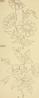 Picture 129 of 346 from Briggs & Co.'s patent transferring papers : patented for the United States of America (1880), leaf 76
