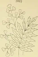 Picture 130 of 346 from Briggs & Co.'s patent transferring papers : patented for the United States of America (1880), leaf 77
