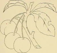 Picture 135 of 346 from Briggs & Co.'s patent transferring papers : patented for the United States of America (1880), leaf 80