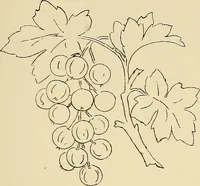 Picture 139 of 346 from Briggs & Co.'s patent transferring papers : patented for the United States of America (1880), leaf 82