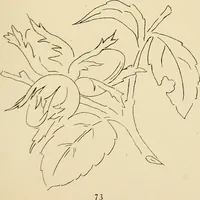 Picture 140 of 346 from Briggs & Co.'s patent transferring papers : patented for the United States of America (1880), leaf 82