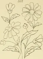 Picture 145 of 346 from Briggs & Co.'s patent transferring papers : patented for the United States of America (1880), leaf 85