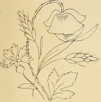 Picture 149 of 346 from Briggs & Co.'s patent transferring papers : patented for the United States of America (1880), leaf 88