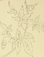 An illustration from Briggs & Co.'s patent transferring papers : patented for the United States of America (1880)