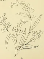 Picture 152 of 346 from Briggs & Co.'s patent transferring papers : patented for the United States of America (1880), leaf 89