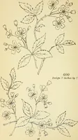 Picture 185 of 389 from Briggs' patent transferring designs (1880), leaf 103
