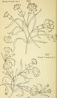 Picture 187 of 389 from Briggs' patent transferring designs (1880), leaf 105