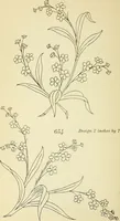 Picture 194 of 389 from Briggs' patent transferring designs (1880), leaf 111