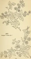 Picture 197 of 389 from Briggs' patent transferring designs (1880), leaf 114