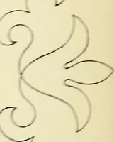 Picture 217 of 389 from Briggs' patent transferring designs (1880), leaf 125