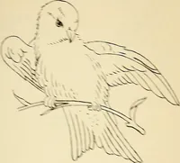 An illustration from Briggs' patent transferring designs (1880)