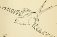 Picture 224 of 389 from Briggs' patent transferring designs (1880), leaf 130