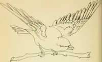 Picture 225 of 389 from Briggs' patent transferring designs (1880), leaf 131