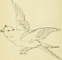 Picture 226 of 389 from Briggs' patent transferring designs (1880), leaf 131