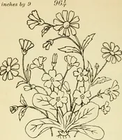Picture 228 of 389 from Briggs' patent transferring designs (1880), leaf 133