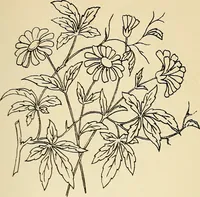 Picture 230 of 389 from Briggs' patent transferring designs (1880), leaf 134
